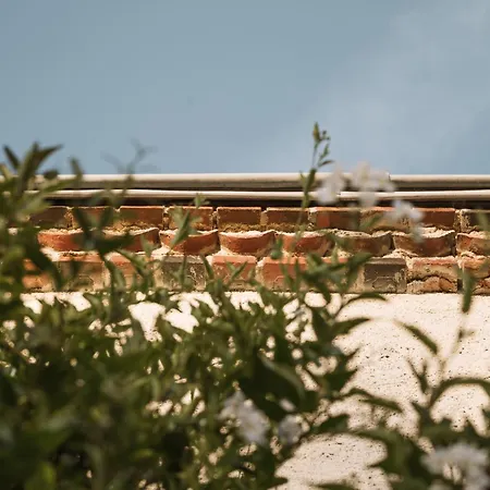 L'annexe Singuliere Penzion