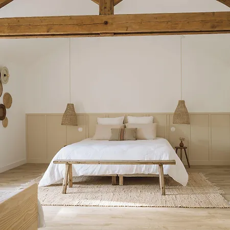 Gasthuis L'annexe Singuliere 3*