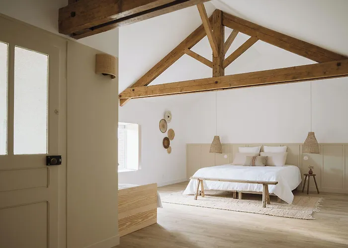 L'annexe Singuliere 3* Maille (Vendee)